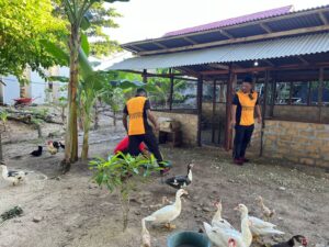 IMG-20240705-WA0025