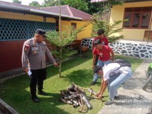 IMG-20240715-WA0179
