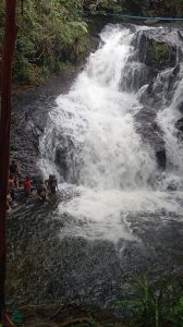 IMG-20241202-WA0235