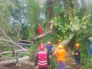 IMG-20241217-WA0168
