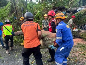 IMG-20241229-WA0099