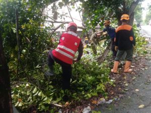 IMG-20250105-WA0078