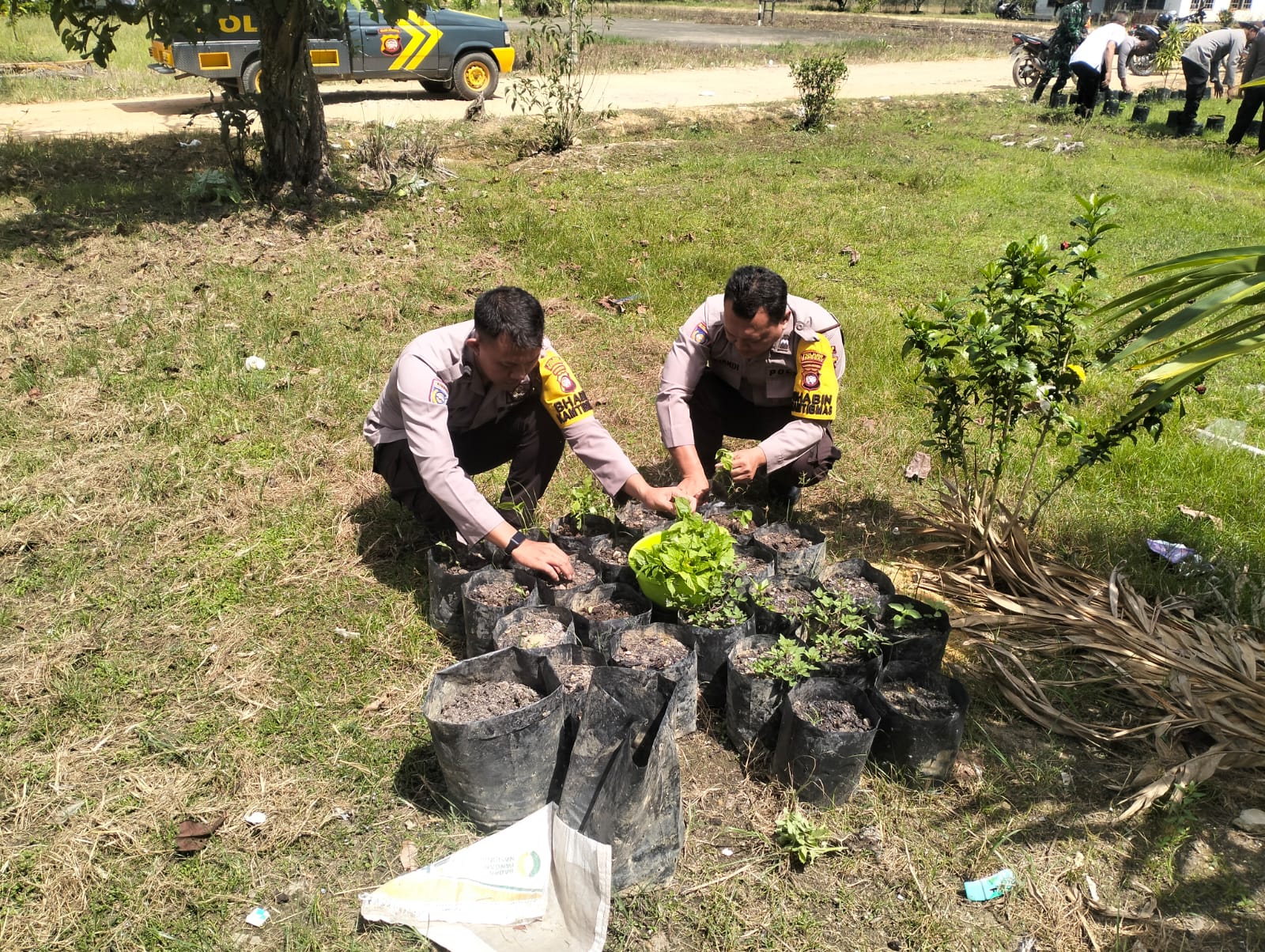 IMG-20250416-WA0234