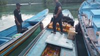 IMG-20250518-WA0003