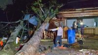 IMG-20250713-WA0102