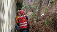 IMG-20250720-WA0135