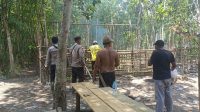IMG-20250728-WA0230