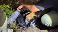 IMG-20251017-WA0278
