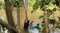 IMG-20251018-WA0007
