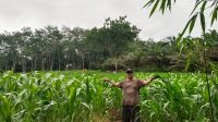 IMG-20251025-WA0199