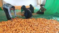 IMG-20251113-WA0054
