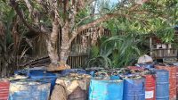IMG-20251121-WA0080
