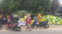 IMG-20260128-WA0442
