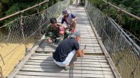 IMG-20260130-WA0249