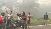 IMG-20260209-WA0252