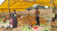 IMG-20260310-WA0282