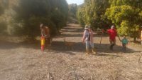 IMG-20260327-WA0065