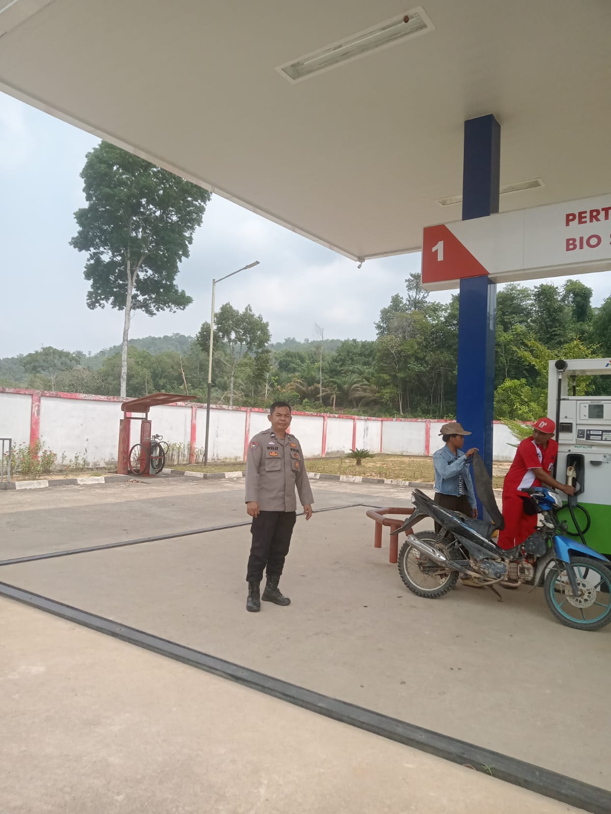 IMG-20260327-WA0253(1)