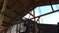 IMG-20260510-WA0204
