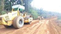 IMG-20260518-WA0091(1)