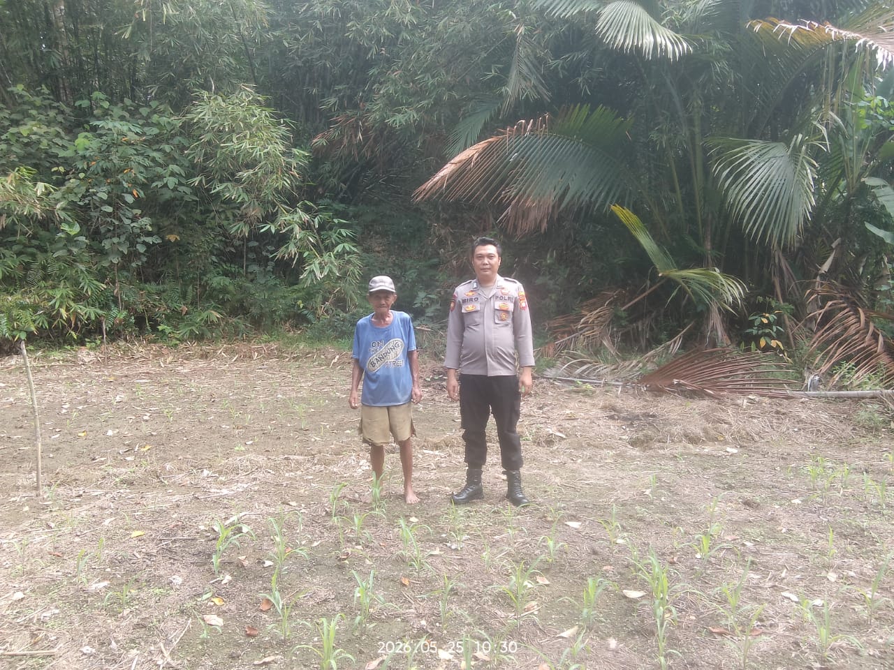 IMG-20260526-WA0278