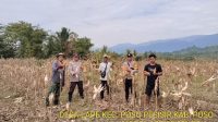 IMG-20260615-WA0276
