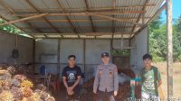 IMG-20260617-WA0116