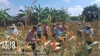 IMG-20260620-WA0280(1)