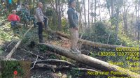 IMG-20260703-WA0118