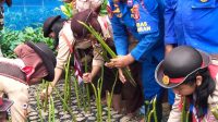 IMG-20260704-WA0167
