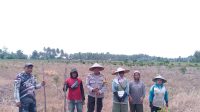 IMG-20260704-WA0175